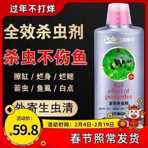 龙鱼用什么药杀菌：龙鱼杀菌消毒方法 龙鱼百科 第4张