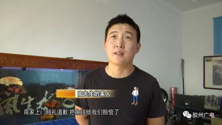 红龙鱼出售或转让骗局：如何辨别红龙鱼的真伪 红龙鱼百科 第5张