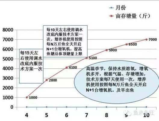 红龙鱼上色用什么灯最好看：红龙鱼上色最佳灯光类型取决于其成长阶段和具体需求 红龙鱼百科 第2张