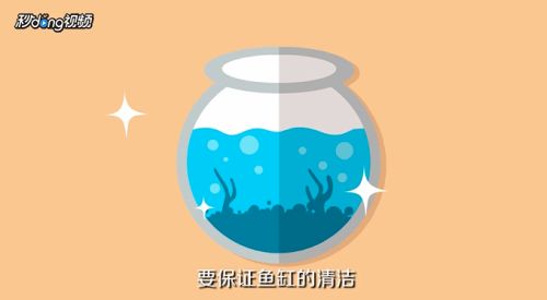 红鹦鹉鱼混养适宜伴侣选择：适合与红鹦鹉鱼混养的鱼类 龙鱼百科 第5张