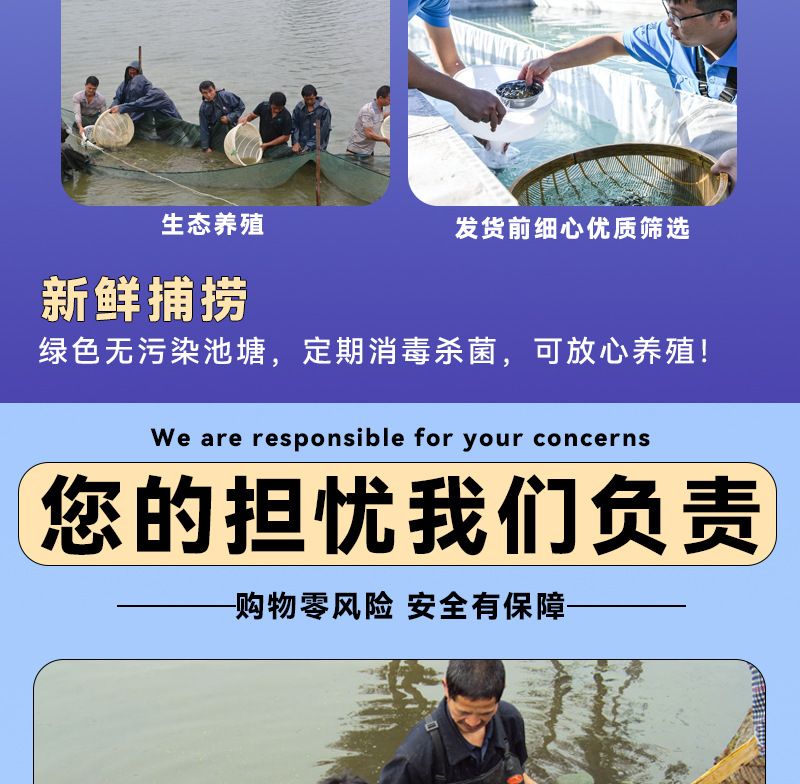 龙鱼饲料鱼怎么养活的：养殖龙鱼饲料鱼需要注意哪些问题 龙鱼百科 第4张