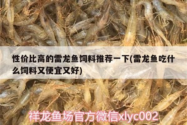 雷龙鱼主食饲料的选择方法是什么：如何选择雷龙鱼的主食饲料 龙鱼百科 第5张