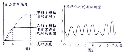 龙鱼光照强度的最佳范围：龙鱼光照强度应该控制在中等范围内， 龙鱼百科 第4张