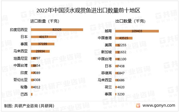 金龙鱼真假辨别方法：如何区分金龙鱼的真伪？ 水族问答 第1张