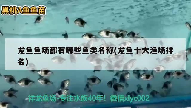 龙鱼鱼场都有哪些：全球知名的龙鱼渔场和中国四大渔场排名 龙鱼百科 第1张