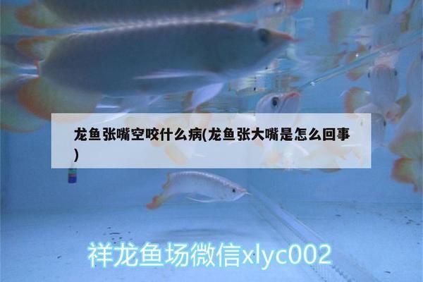 龙鱼一直张嘴巴：龙鱼一直张嘴是怎么回事 龙鱼百科 第1张