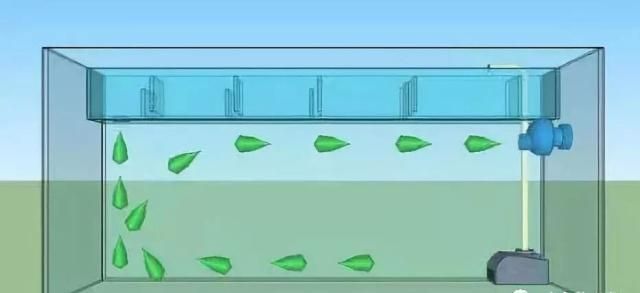 龙鱼缸出水口设计成造浪泵行吗：将龙鱼缸出水口设计成造浪泵可行吗 龙鱼百科 第3张