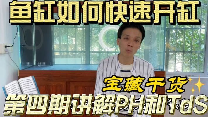 龙鱼专用鱼缸开缸视频 龙鱼百科 第1张