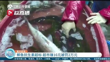 龙鱼怎么打包发货给别人：龙鱼打包用什么镇定剂,龙鱼长途运输注意事项 龙鱼百科 第3张