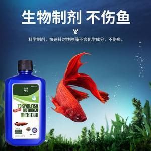 龙鱼能用杀菌水吗：如何自制龙鱼杀菌水 龙鱼百科 第2张