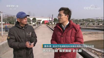 龙鱼卵多大：亚洲龙鱼的卵直径大约为2厘米，产卵量不多，