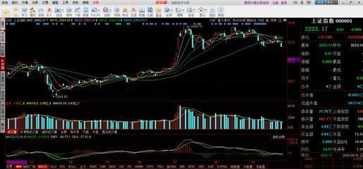 可以跟金龙鱼混养的鱼：金龙鱼与其他鱼类混养有哪些潜在的好处，金龙鱼和其他鱼类混养 水族问答 第5张