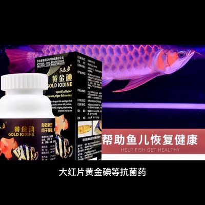 龙鱼的药可以给其他鱼用吗视频讲解：龙鱼专用药物的成分分析