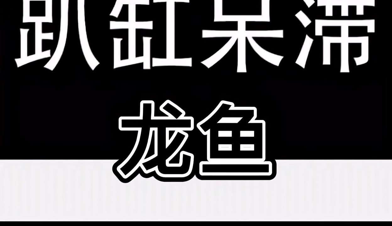 龙鱼趴缸人一过去就游起来：龙鱼趴缸是一种常见的热带鱼类，以其优雅的姿态而受到人们喜爱 龙鱼百科 第3张