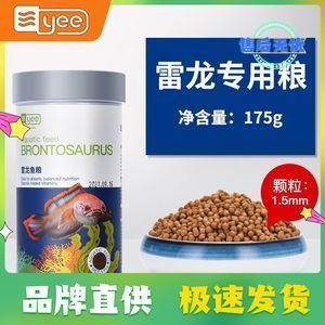 雷龙鱼饲养环境优化技巧：雷龙鱼饲养环境优化技术 龙鱼百科 第2张