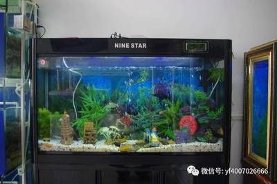 水族灯品牌推荐：水族灯品牌性价比对比 龙鱼百科 第3张