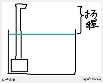 龙鱼缸水泵流量多少合适：龙鱼缸水泵流量如何选择 龙鱼百科 第2张