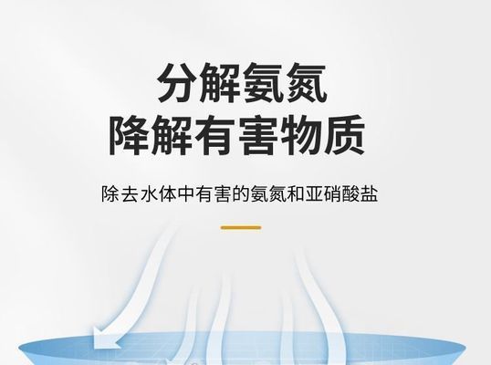 龙鱼缸硝酸盐高怎么办：如何降低龙鱼缸硝酸盐含量 龙鱼百科 第5张