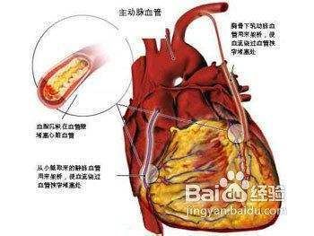 龙鱼的功效和营养价值：龙鱼的神奇功效与营养 龙鱼百科 第5张