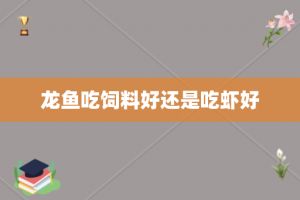 龙鱼喂什么比较好：龙鱼幼鱼阶段如何科学喂养成年龙鱼的日常饮食管理 龙鱼百科 第4张