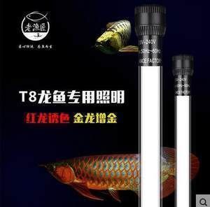 龙鱼led灯和nec的区别：龙鱼led灯和nec灯各有优缺点