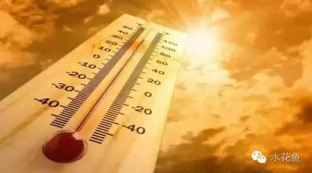 龙鱼最底温度：龙鱼最低生存温度约为17℃，饲养者需要注意维持水温的稳定