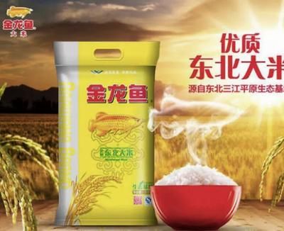 凤凰鱼专用饲料品牌推荐：凤凰鱼专用饲料品牌推荐凤凰鱼专用饲料品牌推荐