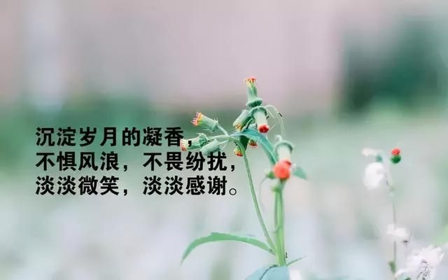 龙鱼不爱吃泥鳅吗：为什么有些龙鱼不喜欢吃泥鳅？