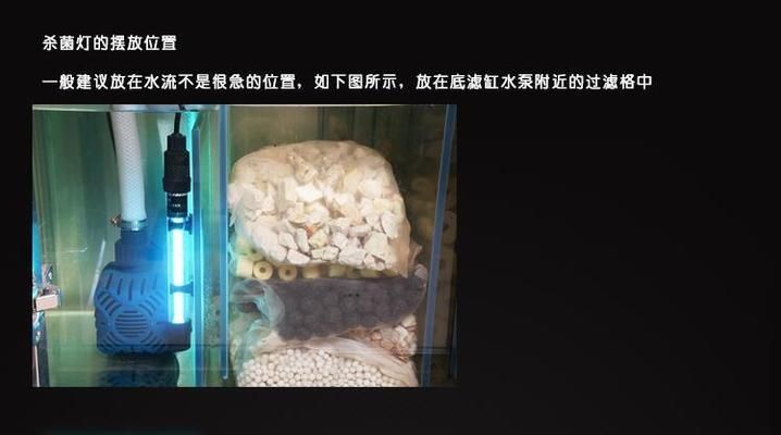 龙鱼缸杀菌灯使用方法：杀菌灯波长,化学作用方面,龙鱼缸杀菌灯的最佳摆放位置 龙鱼百科 第1张