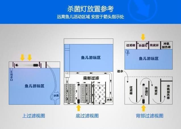 龙鱼缸杀菌灯使用方法：杀菌灯波长,化学作用方面,龙鱼缸杀菌灯的最佳摆放位置 龙鱼百科 第2张