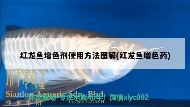 龙鱼增色灯怎么用的视频：i7plus龙鱼增色灯使用技巧 龙鱼百科 第3张