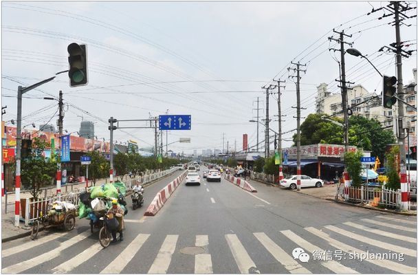 龙鱼不吃活食怎么办贴吧：如果龙鱼持续食欲不振，我们应该采取哪些措施来帮助恢复？ 水族问答 第2张