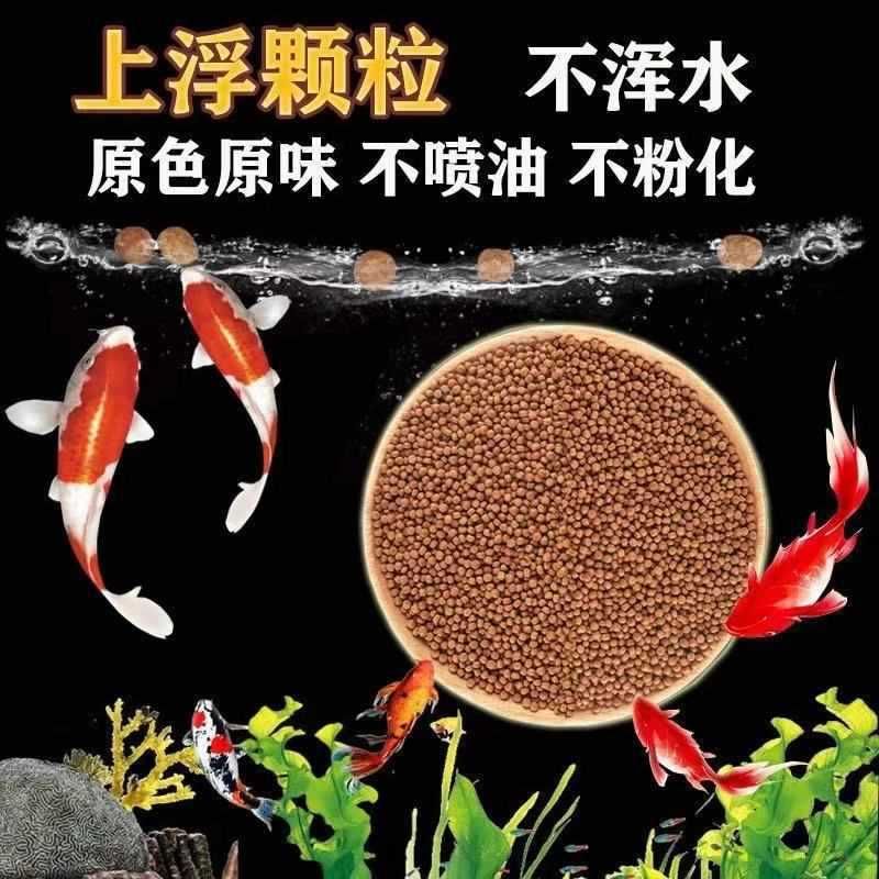 龙鱼不吃泥鳅只吃虾：为什么龙鱼会偏爱虾而不是泥鳅？ 水族问答 第2张