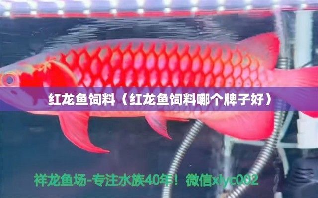 红龙鱼饲料品牌对比评测 龙鱼百科 第1张