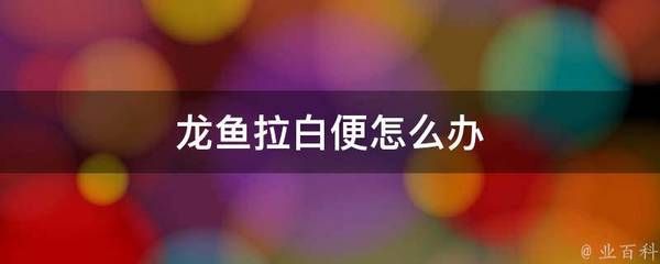 龙鱼拉白便怎么办：龙鱼拉白便怎么处理 龙鱼百科 第1张