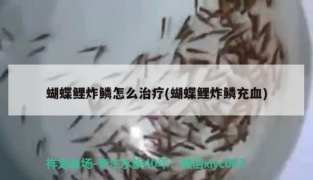 金龙鱼炸鳞用土霉素可以吗vs祥龙鱼场：金龙鱼炸鳞可以用土霉素治疗金龙鱼的炸鳞治疗方法