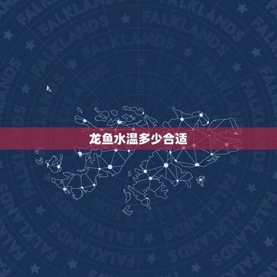 龙鱼28度养还是30度养vs祥龙鱼场：祥龙鱼场的龙鱼养殖水温控制技巧 vs祥龙鱼场 第4张