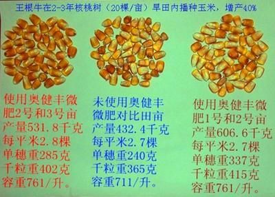 黄金幼鱼饲料营养成分对比：自制黄金幼鱼饲料步骤详解，黄金幼鱼专用饲料品牌推荐 龙鱼百科 第4张