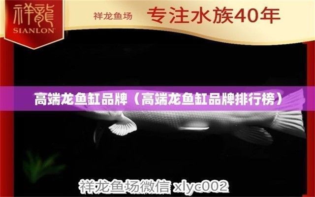 龙鱼缸排行榜vs祥龙鱼场：2024年最新龙鱼缸十大名牌排行榜祥龙鱼场排行榜 vs祥龙鱼场 第3张