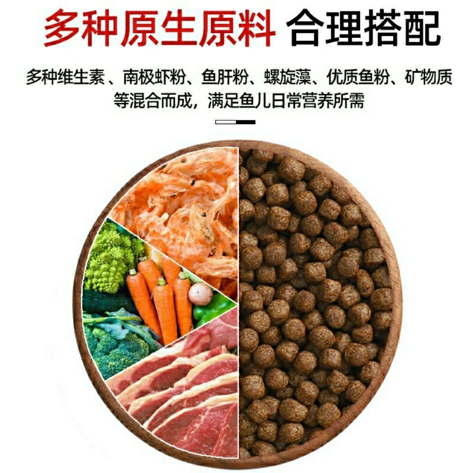 雷龙鱼饲料中添加螺旋藻的好处：雷龙鱼饲料中添加螺旋藻的益处 龙鱼百科 第3张