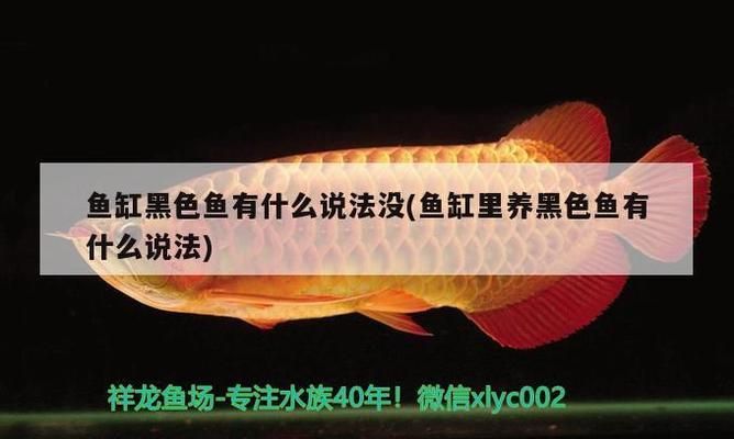 胭脂孔雀龙鱼繁殖期饲料选择：孔雀鱼繁殖期水质管理技巧,孔雀鱼繁殖成功案例分享 龙鱼百科 第2张