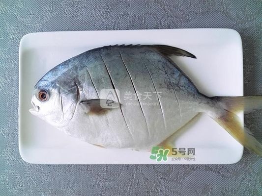 龙鱼常见品种饲养与现状：关于龙鱼的常见饲养方式及其现状 水族问答 第1张