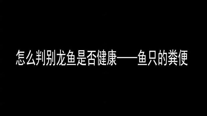 如何鉴别龙鱼健康状况：如何判断龙鱼的健康状况 龙鱼百科 第5张