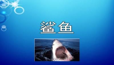 龙鱼吃其他的鱼吗：为什么龙鱼会被用来吃其他种类的鱼类？ 水族问答 第2张