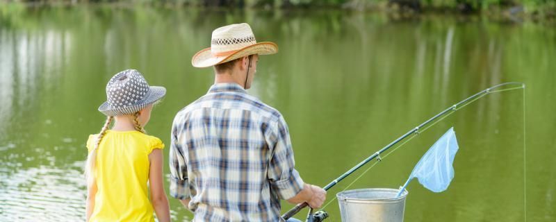 龙鱼食可不可以喂锦鲤：如何自制锦鲤健康饲料 龙鱼百科 第3张