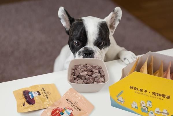 龙鱼到家多久喂食最好：龙鱼不吃食物怎么办？ 水族问答 第2张