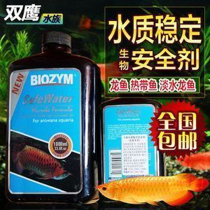 帮助龙鱼消化的药：帮助龙鱼消化的药物 龙鱼百科 第2张