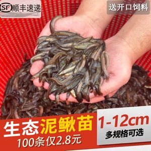 龙鱼的换水注意事项有哪些：关于龙鱼换水的疑问 水族问答 第2张