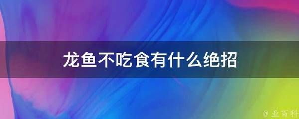 龙鱼不吃食有什么绝招：如何判断龙鱼是否消化不良，龙鱼厌食怎么变换食物，龙鱼环境压力缓解方法 龙鱼百科 第1张