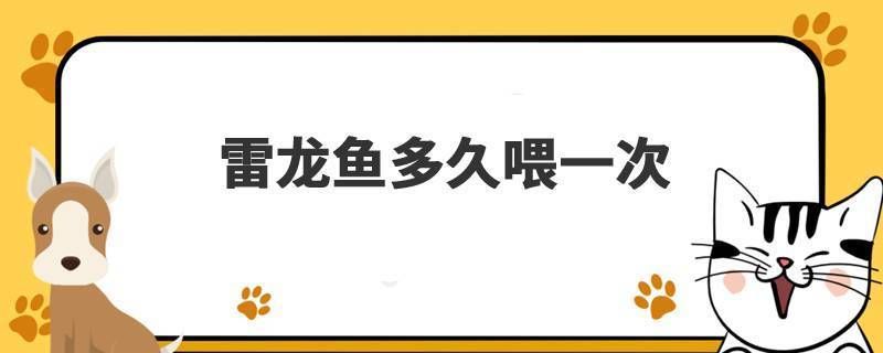 雷龙鱼都喂什么：雷龙鱼专用饲料品牌推荐 龙鱼百科 第2张